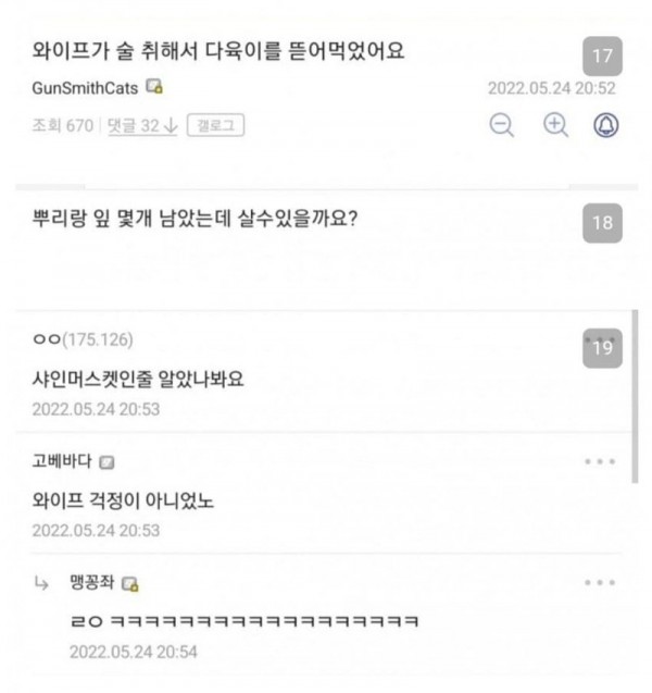 와이프가 술 취해서 다육이 뜯어먹어요 ㅜㅜ