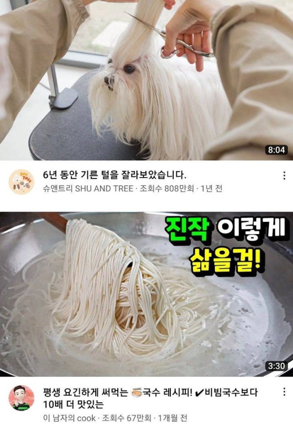 유투브 알고리즘 이런것까지? ㄷㄷ