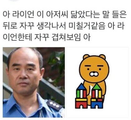 라이언과 닮은 아저씨 ..