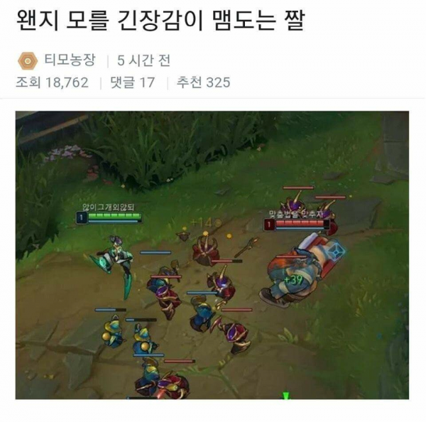 왠지 모를 긴장감이 맴도는 짤ㅋㅋ