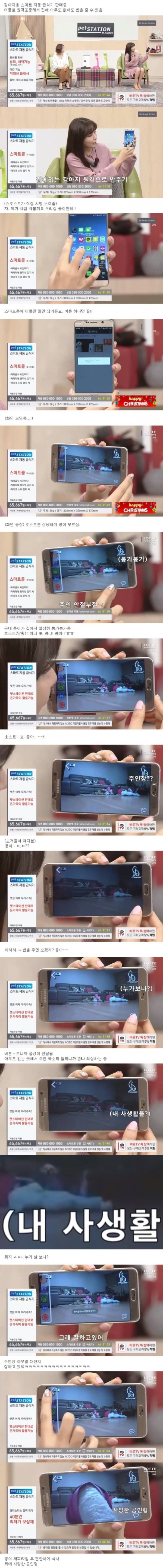 강아지 자동급식기 홈쇼핑 방송사고 ㄷㄷ