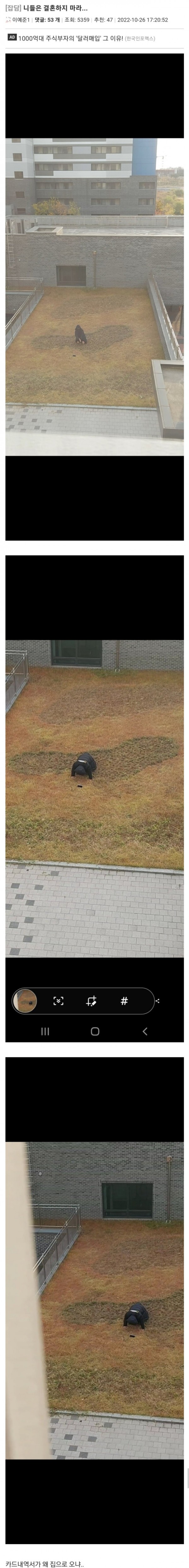 니들은 결혼하지마라..