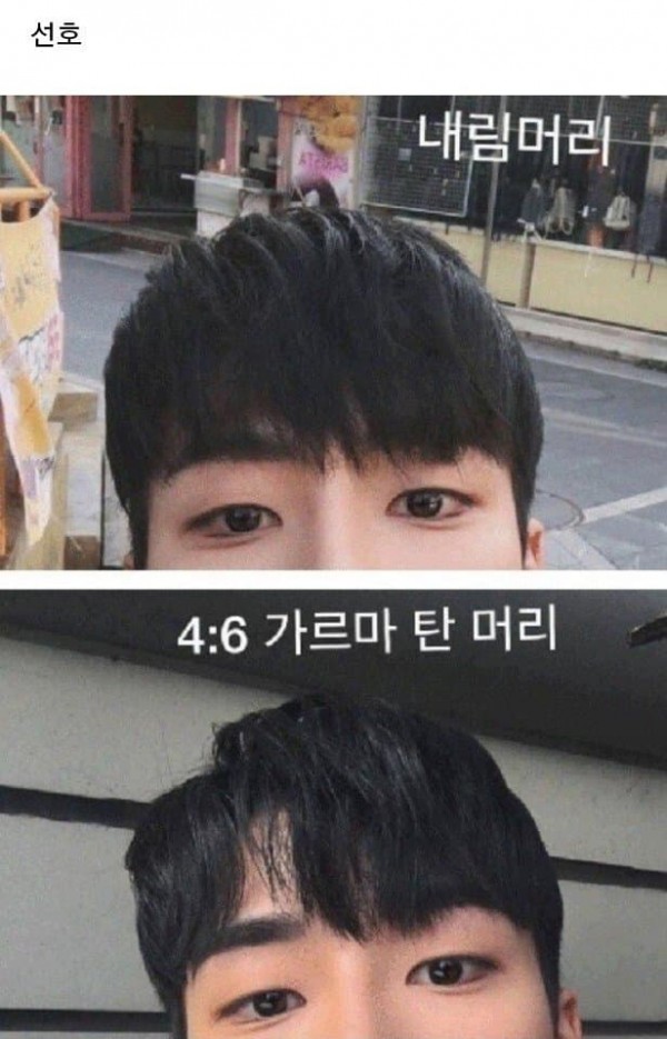 여자들 호불호 남자머리