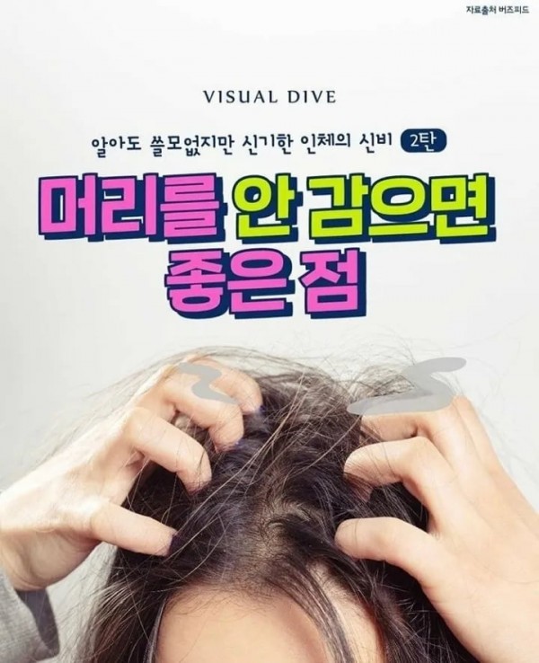 머리 안감으면 좋은점
