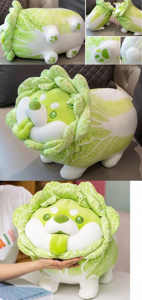 귀염귀염 개추 ㅋㅋㅋ