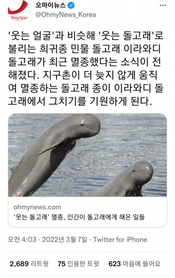 멸종된 웃는 돌고래