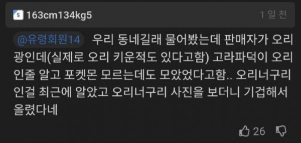 고라파덕 90마리 판매하는 이유