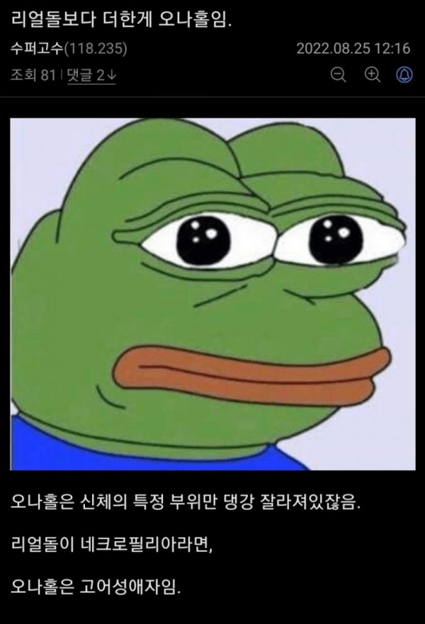 리얼돌보다 더한게 오나홀임..
