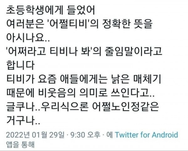 어쩔티비의 정확한 뜻