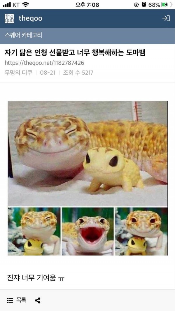 선물이 만족스러운 도마뱀