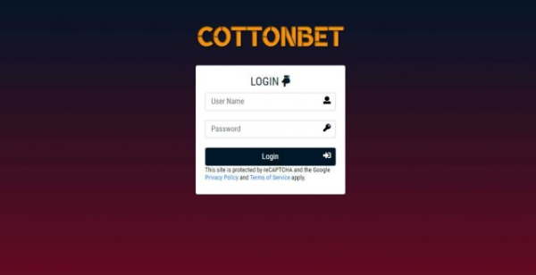 코튼벳 COTTONBET [토토사이트 정보]