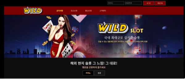 와일드 WILD [토토사이트 정보]