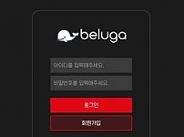 벨루가 BELUGA [토토사이트 정보]