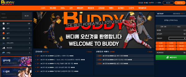 버디 (BUDDY) [먹튀사이트 정보대공개]