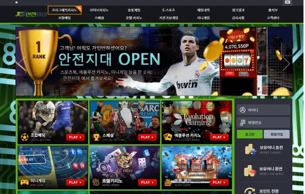 안전지대 SAFE ZONE [먹튀사이트 정보대공개]